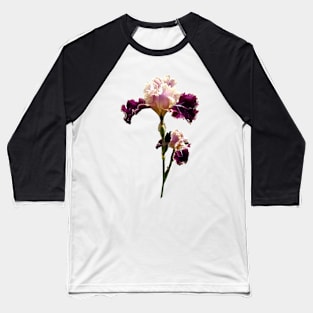 Maroon and Pink Irises Baseball T-Shirt